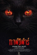 Devil Black Cat