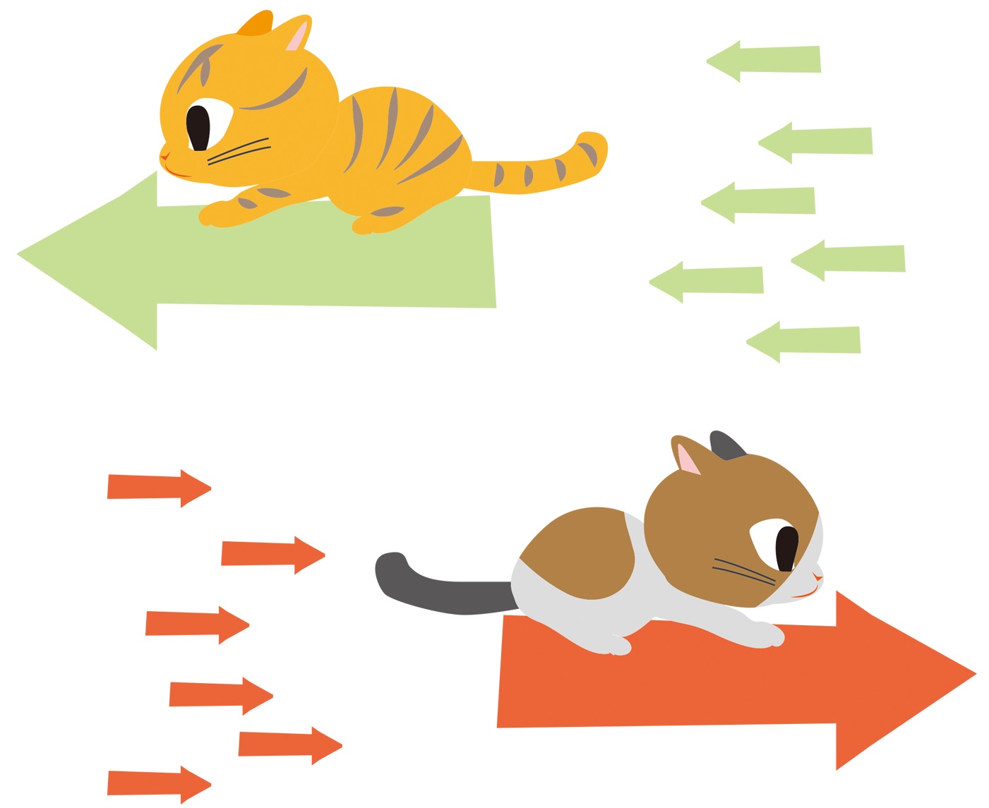 左右に飛ぶ猫